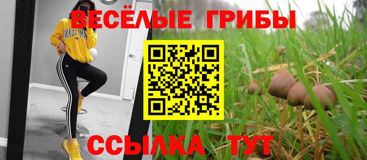 Кировск  Псилоцибиновые грибы GOLDEN TEACHER  Вход с VPN 